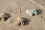 Set Playa | Flowers & Butterflies