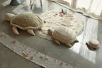 cesta--baby-turtle-17121