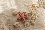 Alfombra Juego Lavable | Seabed
