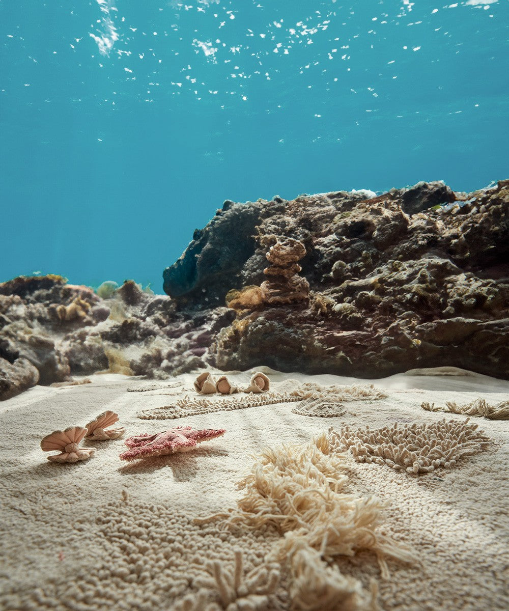 alfombra-juego-lavable--seabed-17135