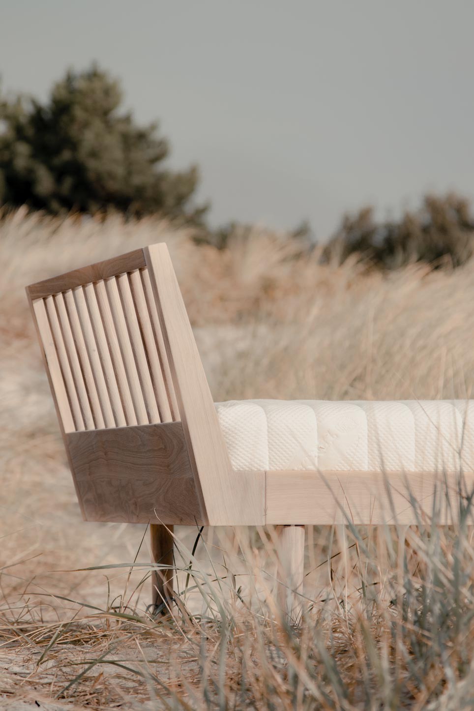 Cama | Eli Light Oil