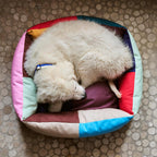 Cama para perros multicolor