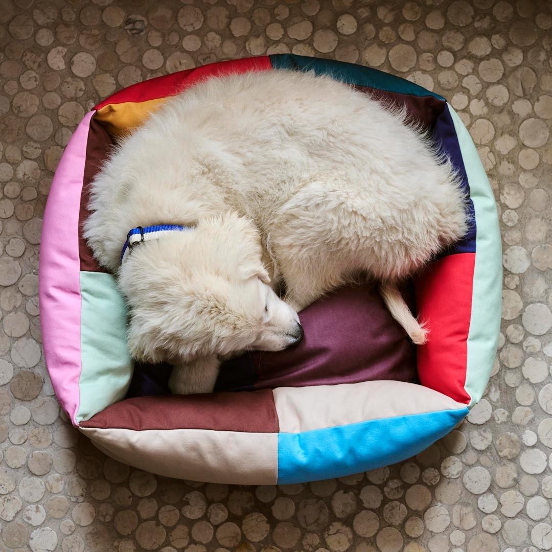 Cama para perros multicolor