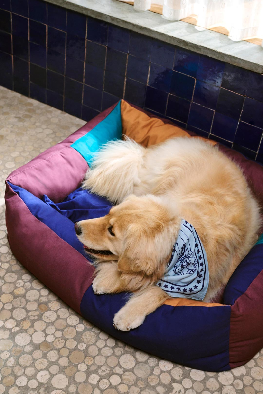 Cama para perros multicolor