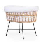 Cuna Rattan Metal 91x51 + Colchón