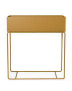 Plant Box Straw
