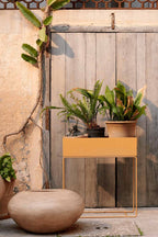 plant-box-straw-18593