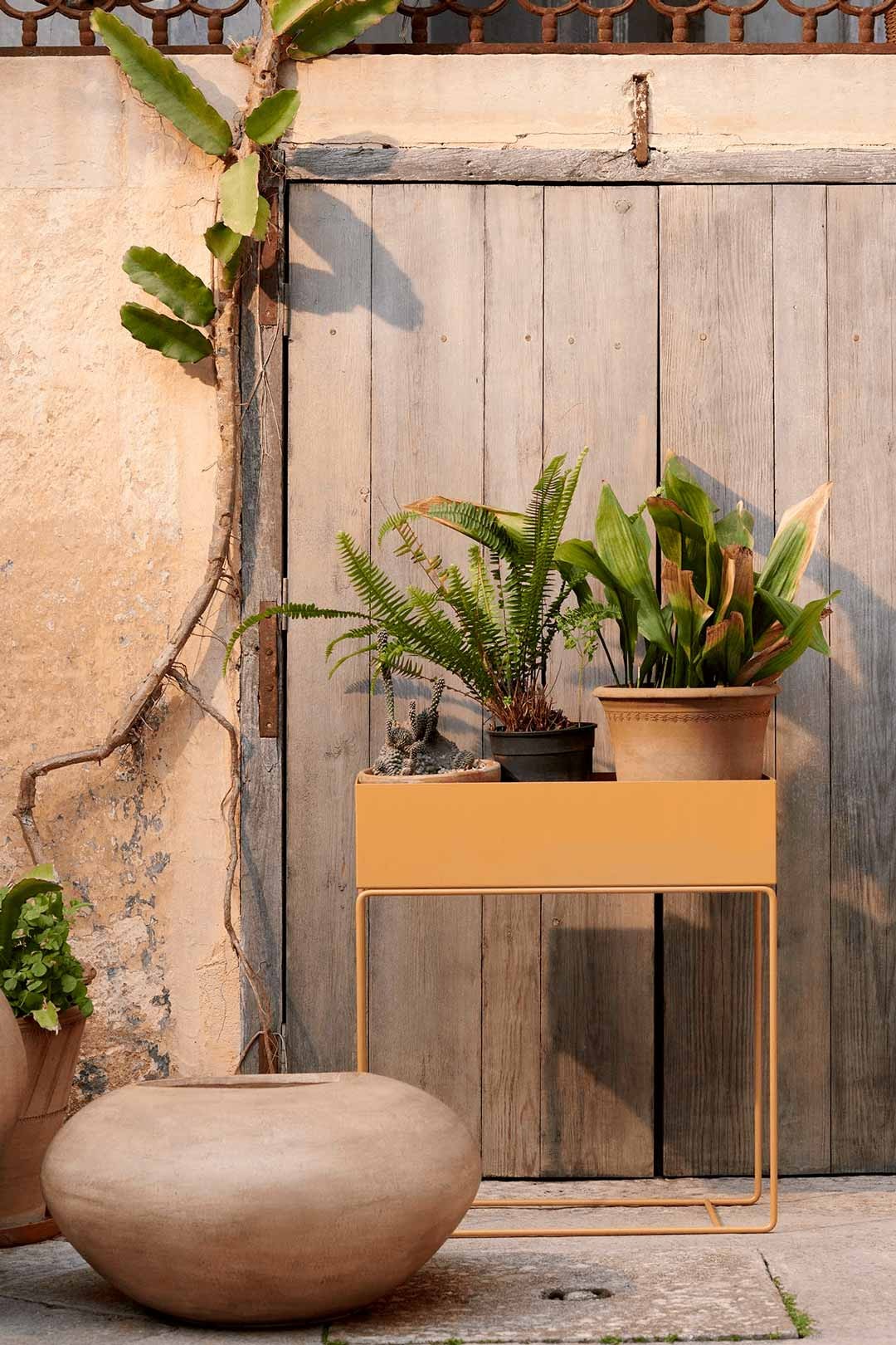 plant-box-straw-18593