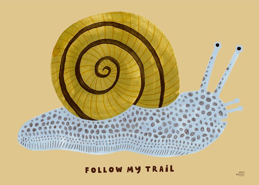 Lámina | Follow My Trail