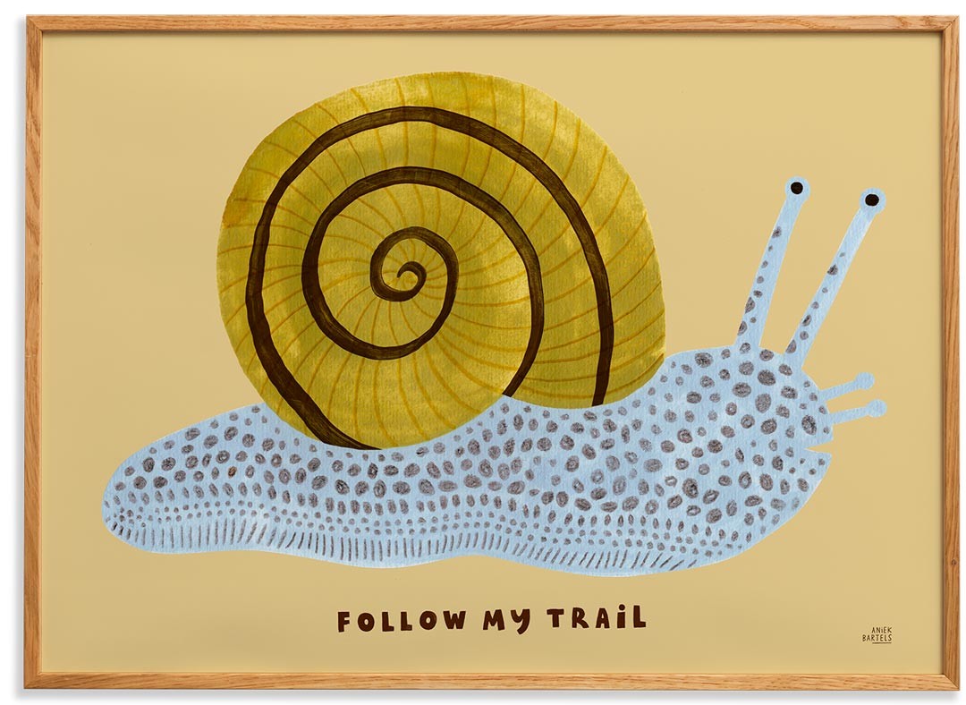 lamina--follow-my-trail-18871