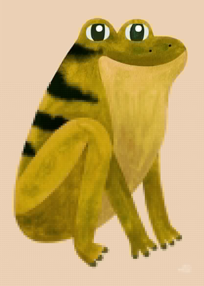 lamina--grinning-frog-18879