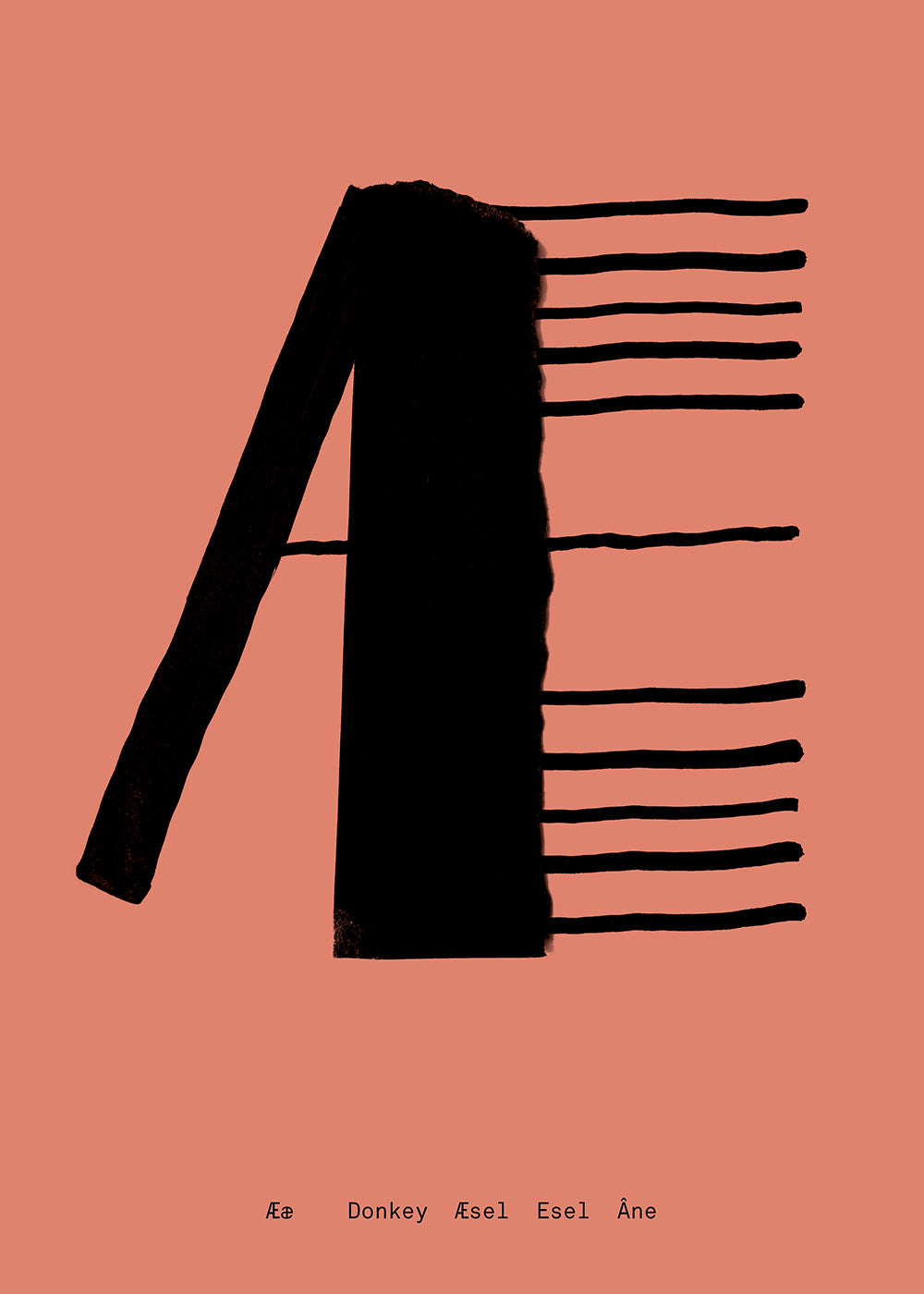 Lámina | Æ
