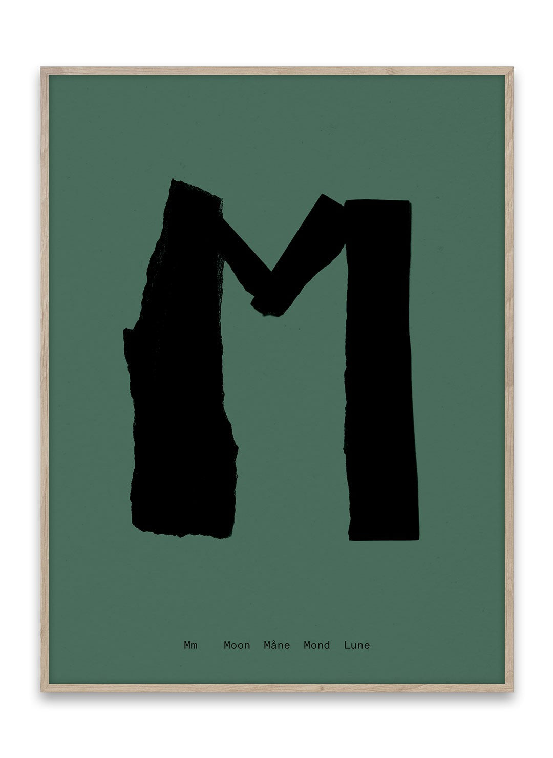 lamina--m-19004