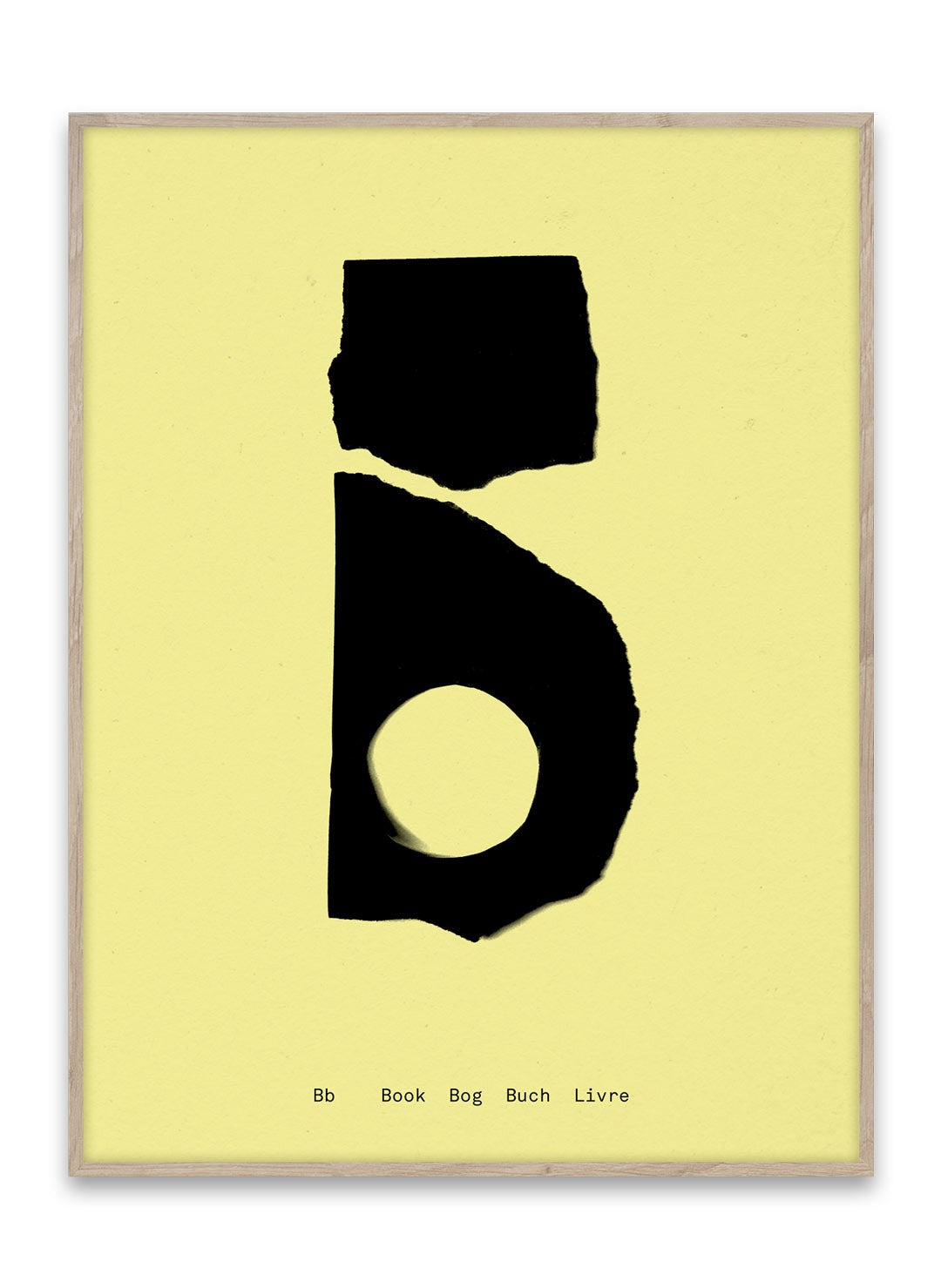lamina--b-19033