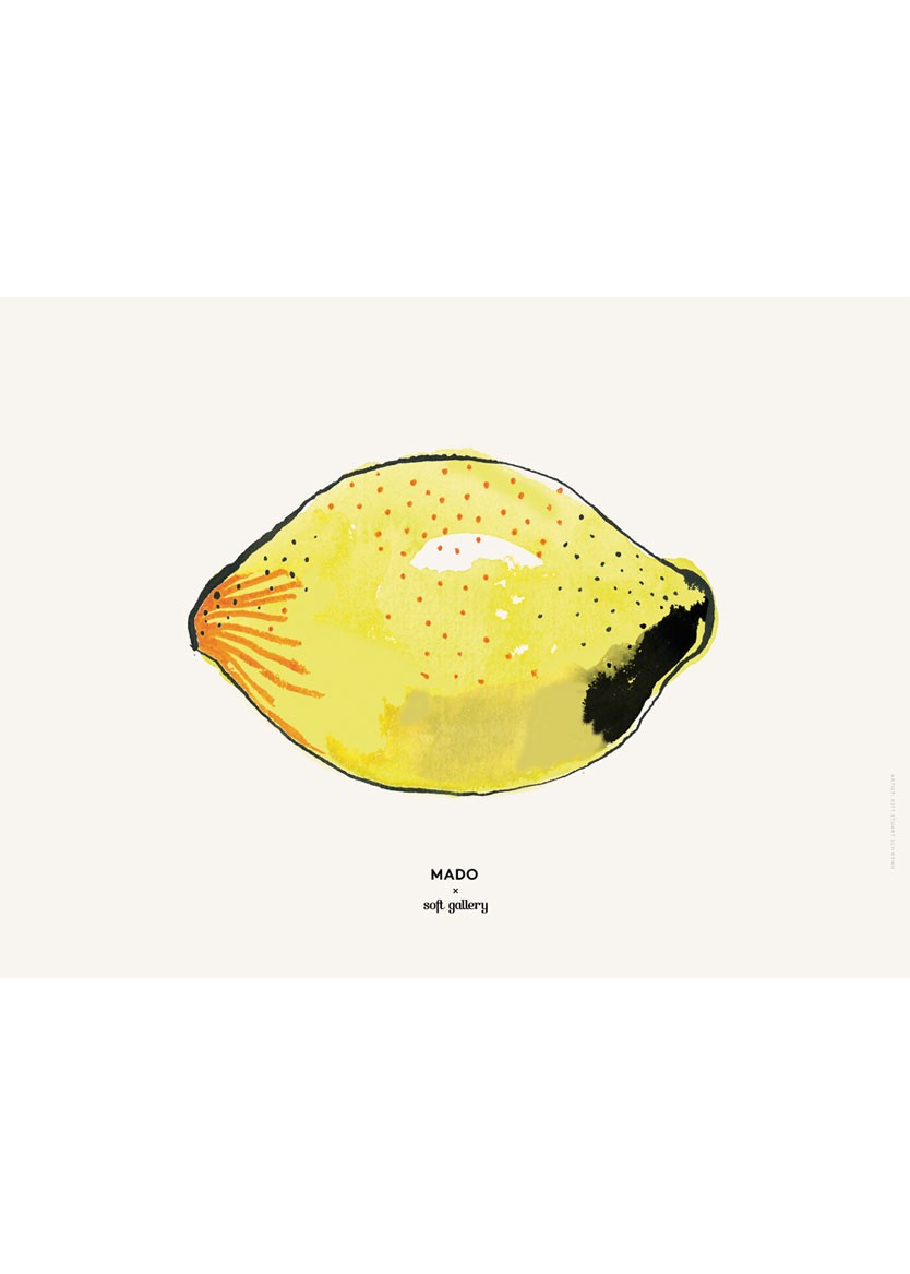 lamina--lemon-19038