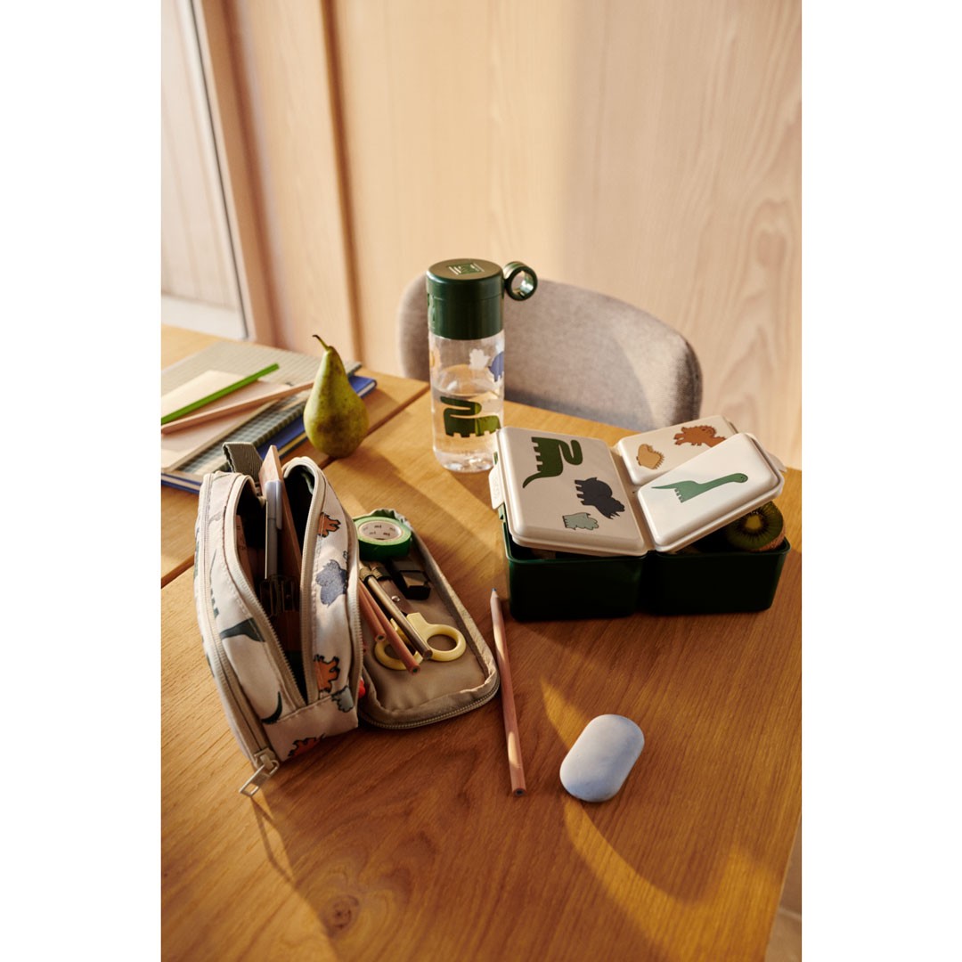Lunchbox | Driss Dinosaurs/mist