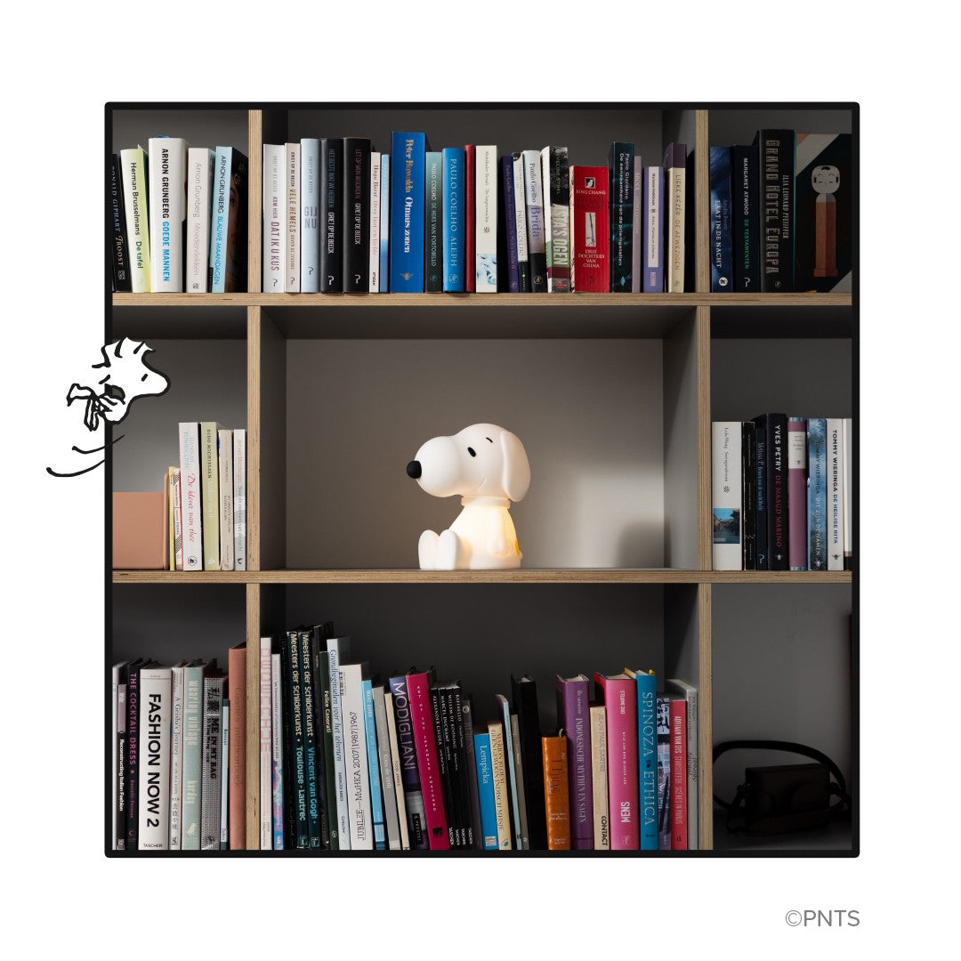 Snoopy First Light