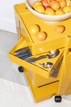 Carro Contenedor | Boby Xs