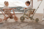 Triciclo-Bicicleta 4 en 1 rosa