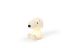 Snoopy Bundle of Light