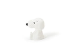 Snoopy Bundle of Light