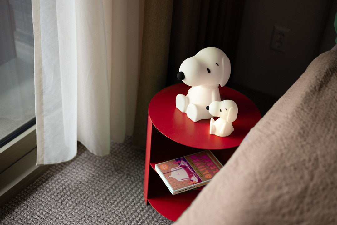 Snoopy Bundle of Light