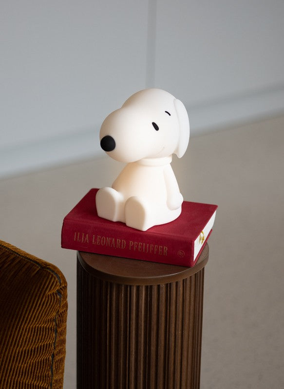 snoopy-bundle-of-light-19954