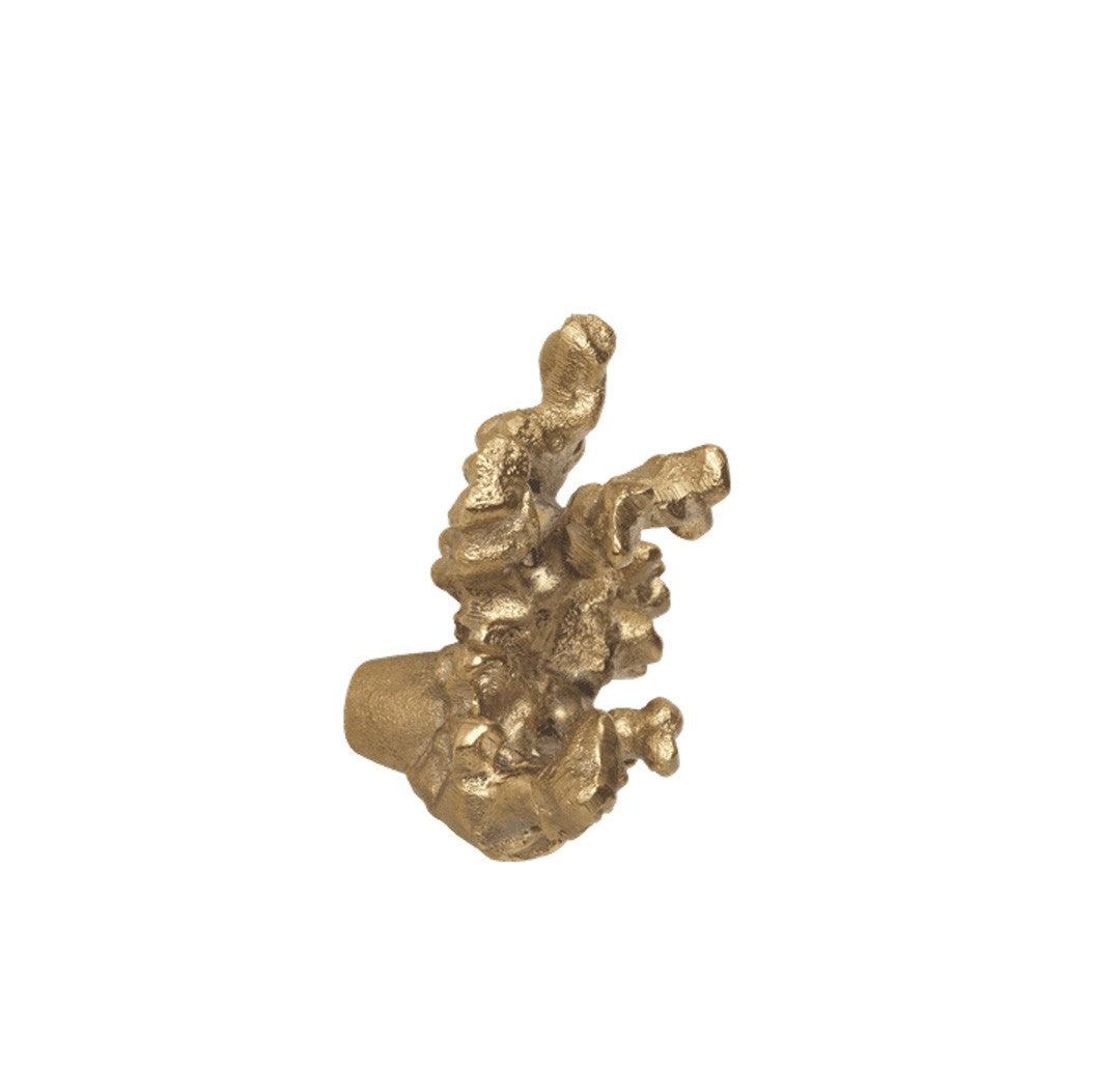 Colgador Coral Branch