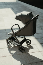 Silla de Paseo | Easyfold