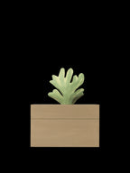 Caja Madera | Harbour