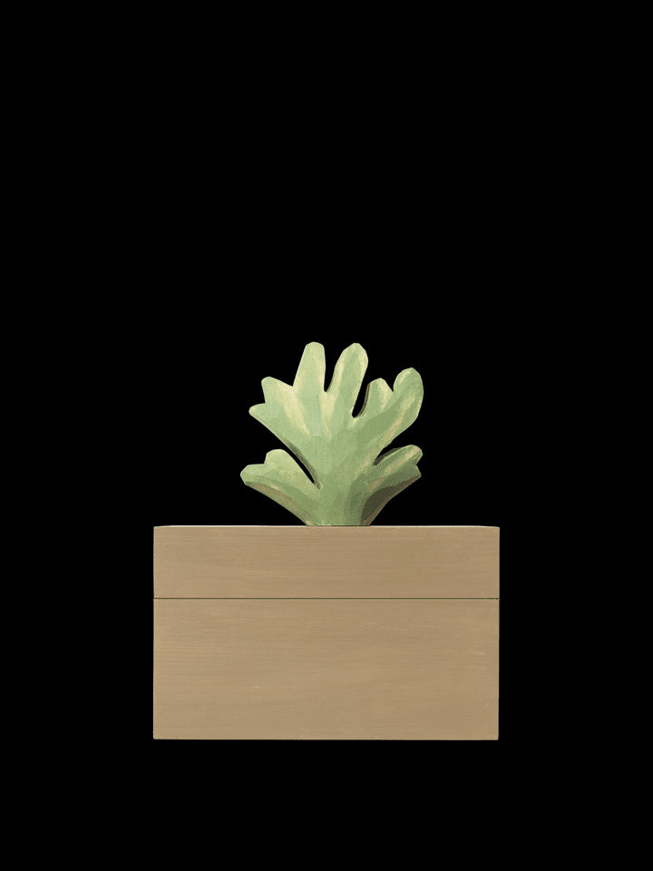 Caja Madera | Harbour