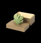 Caja Madera | Harbour