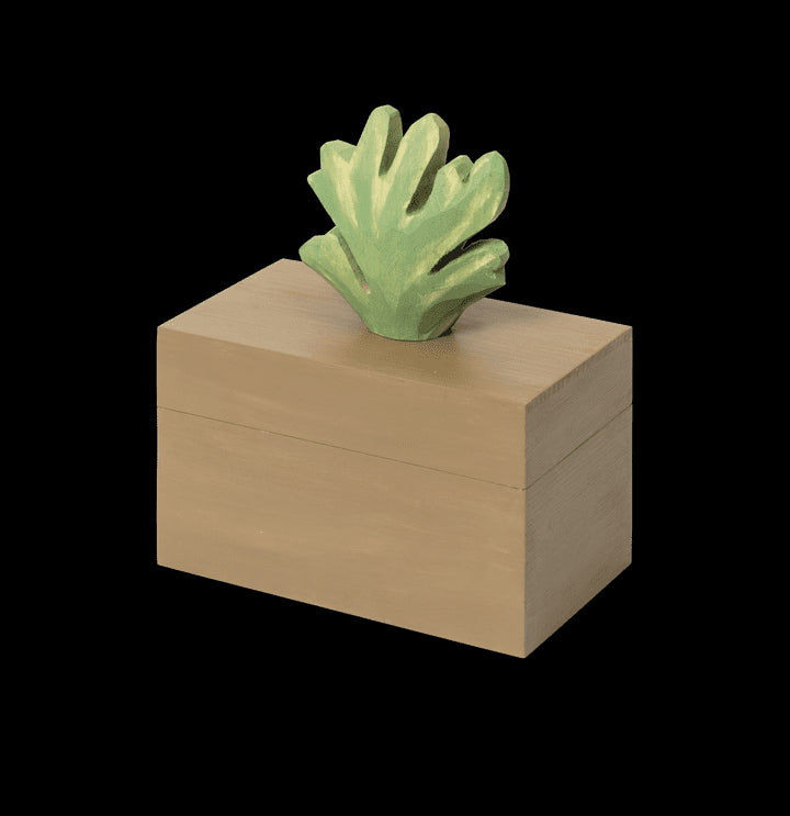 Caja Madera | Harbour
