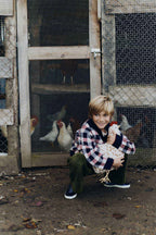 cojin--chicken-20080