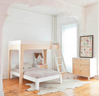 litera--perch-bunk-abedul-1829