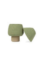 Cesta | Tree