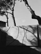 Alfombra | Gesso