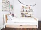 Cama | Sparrow