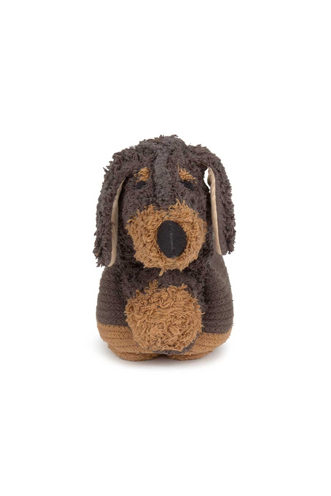 Cesta | Sparky