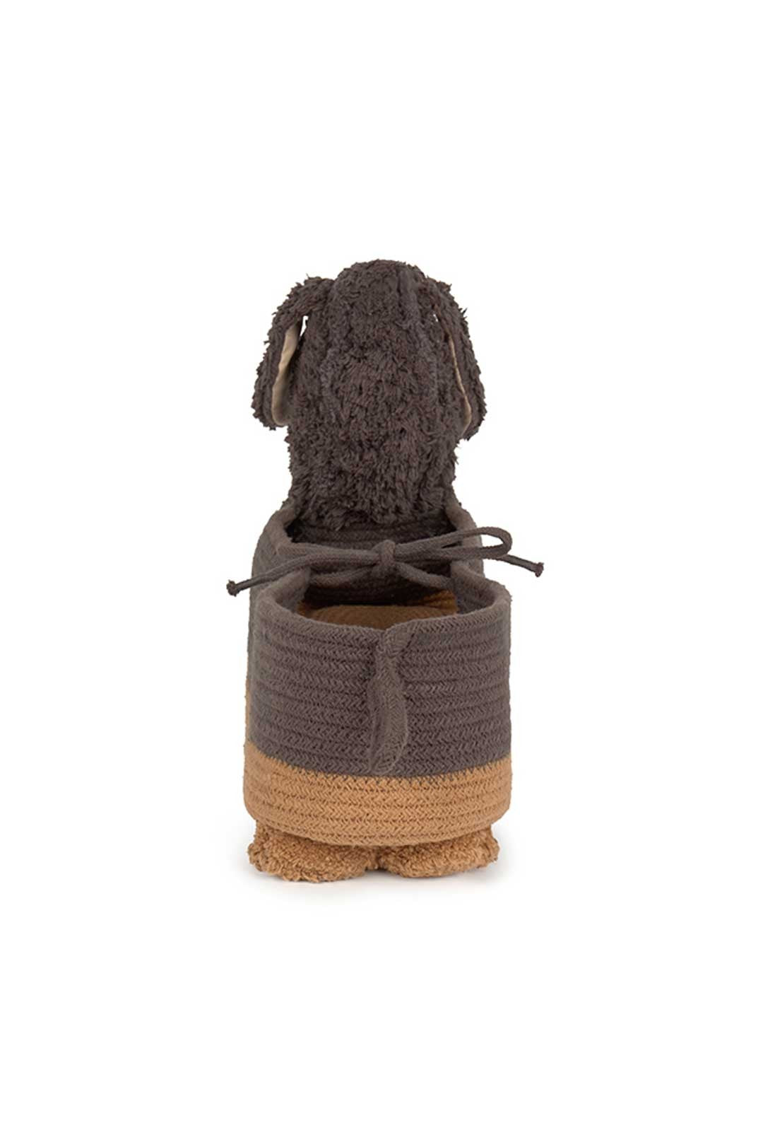 Cesta | Sparky