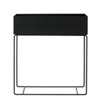 plant-box-negro-1954