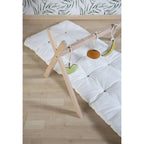 Stand for moses basket +Baby Gym Tipi