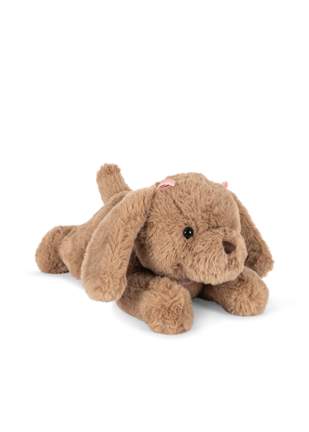 Cachorro Biscotti