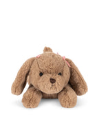 Cachorro Biscotti