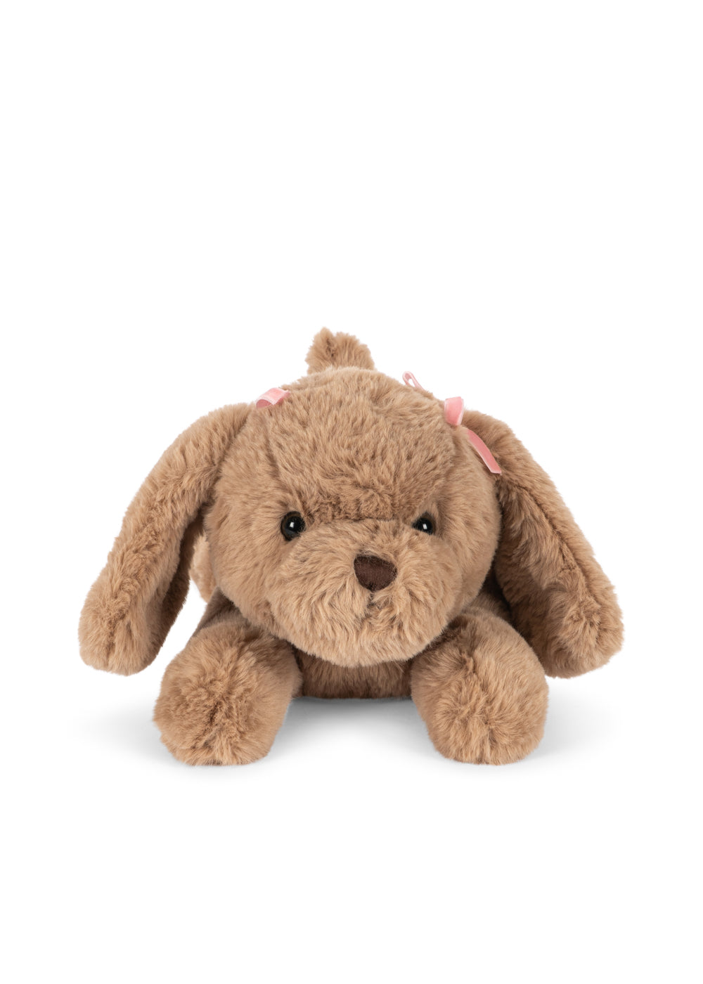 Cachorro Biscotti