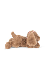 Cachorro Biscotti