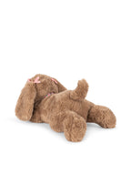 Cachorro Biscotti