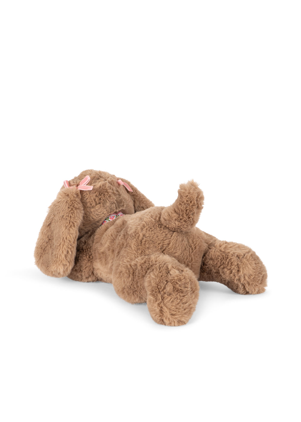 Cachorro Biscotti